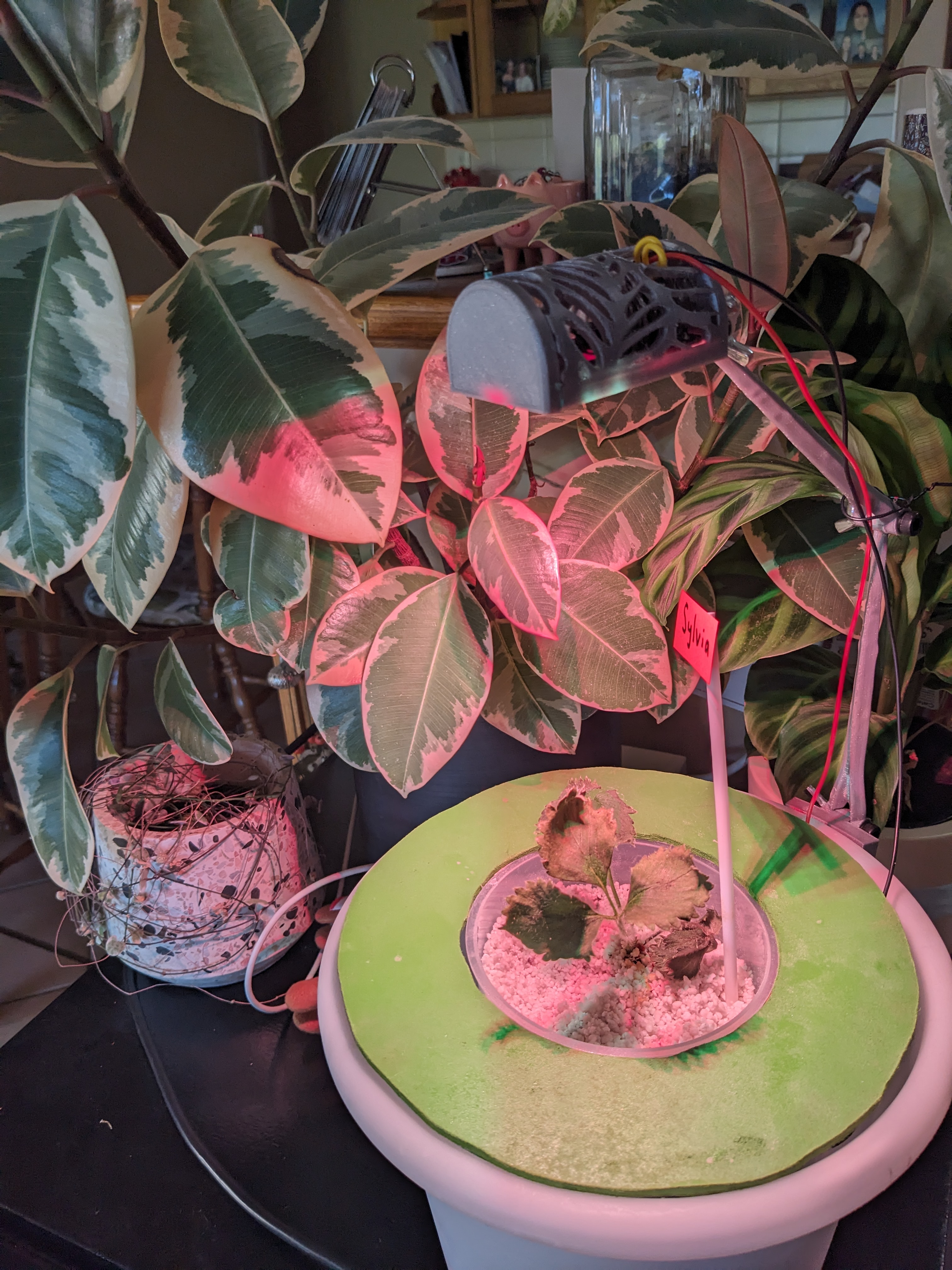 Hydro v2b 3